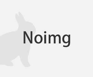 Noimg