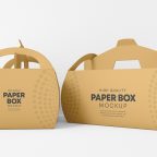 Kraft Paper Delivery Box Packman Packaging