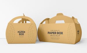 Kraft Paper Delivery Box Packman Packaging