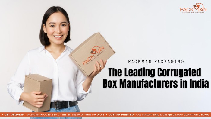 packman packaging corrugated box manufacturer in India